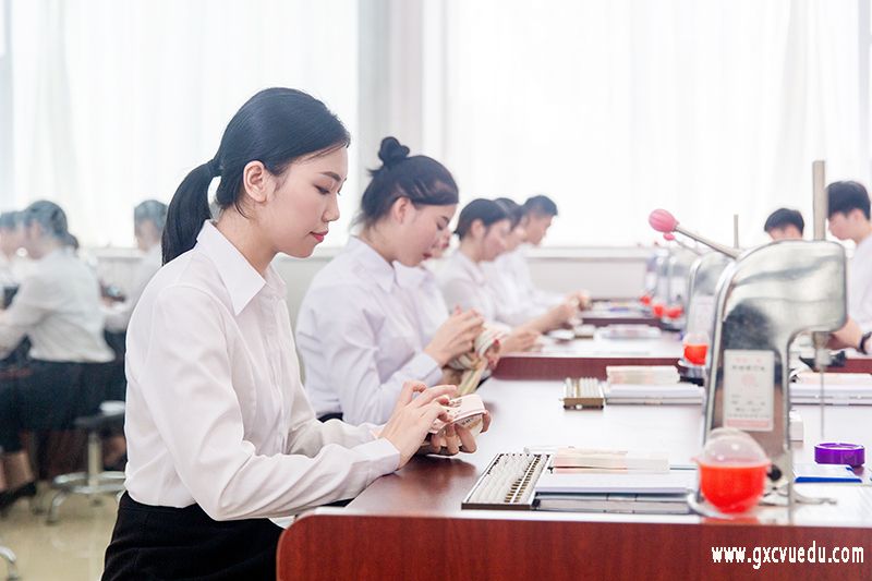 自治区税务局领导叶春生到我校调研